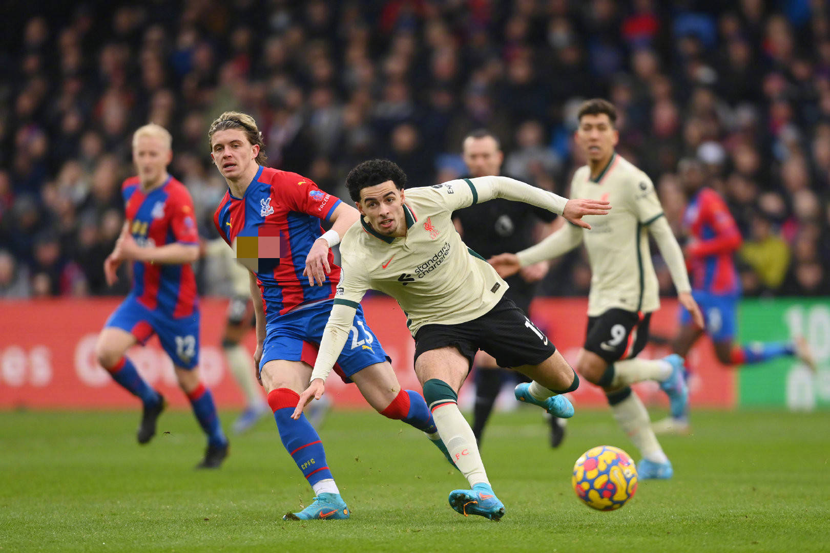 了这个传奇 了这个传奇