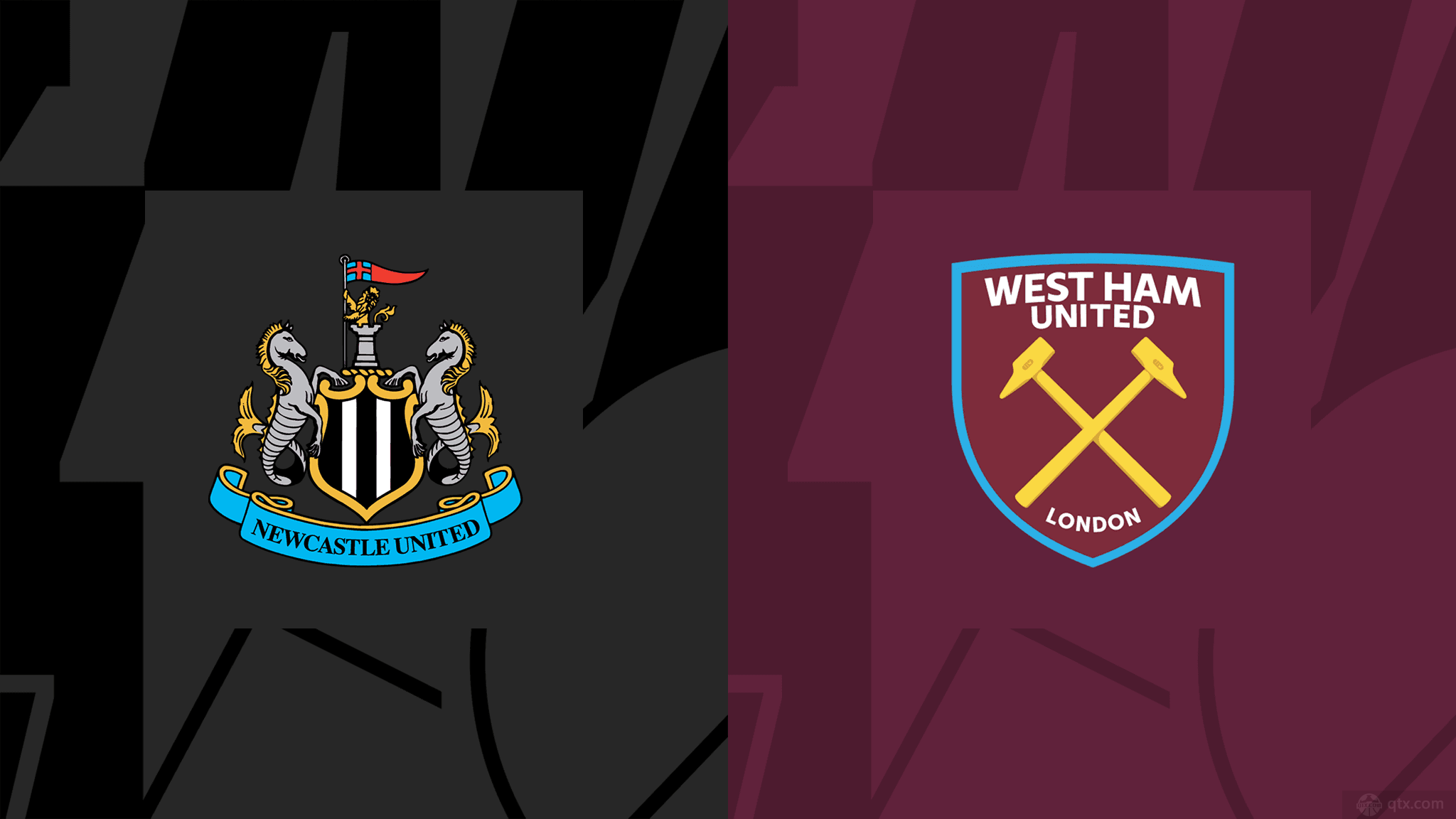 篮球与足球 篮球与足球